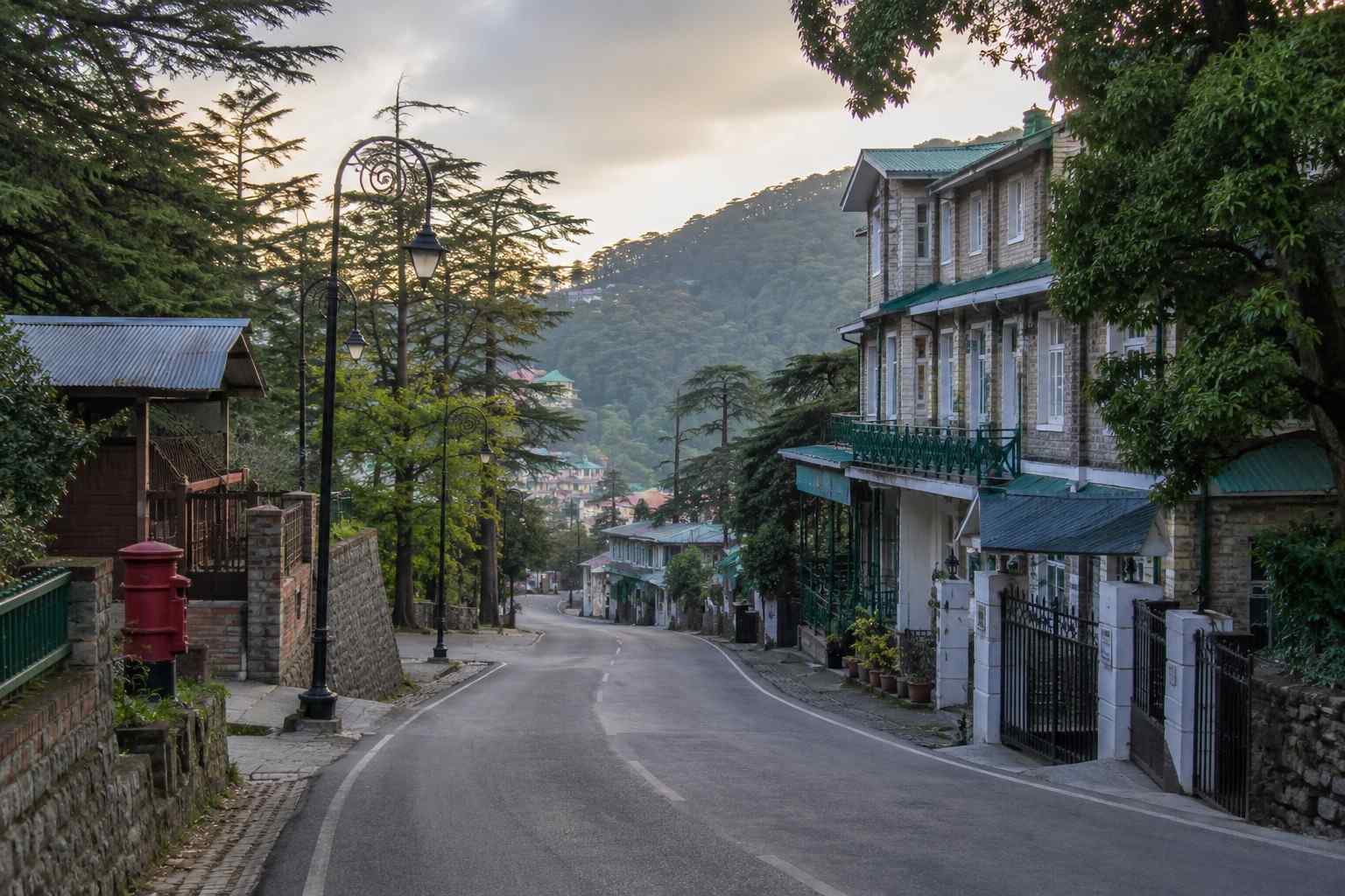 kasauli street
